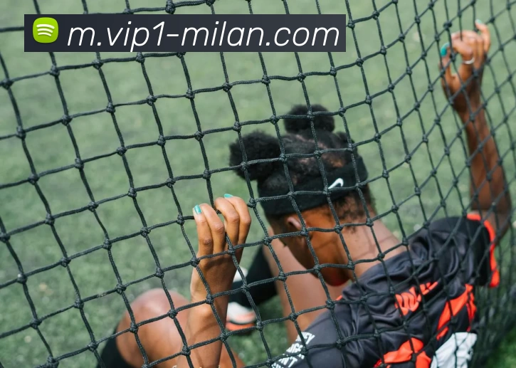 米兰体育平台生态图