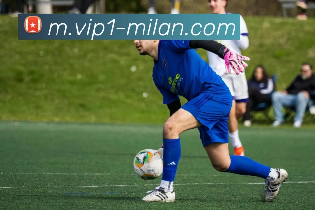 米兰体育APP 封面图